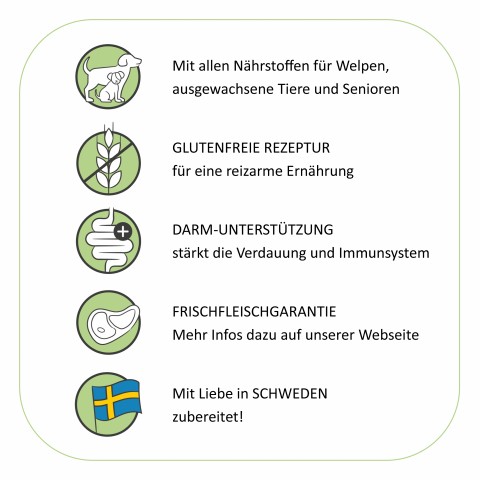 Hond Accessories Natvoer Zum Goldenen Ochsen 200g 6 Stuk -4- Anifit