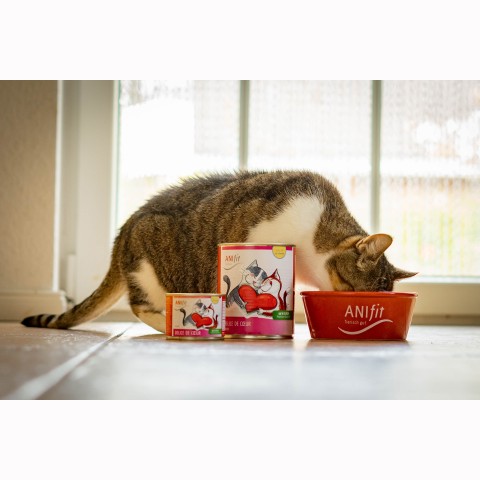 Katze Nassfutter Délice de Coeur 200g 6 Stück -5- Anifit